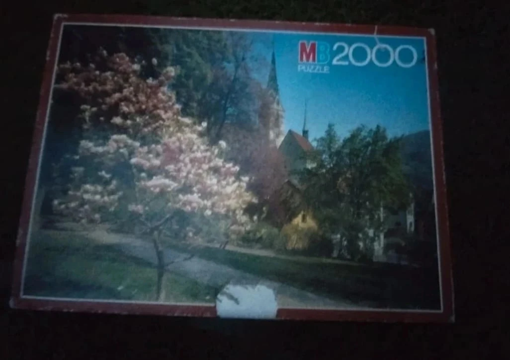 Puzzle MB 2000 pièces 
la Suisse au printemps – photo 2